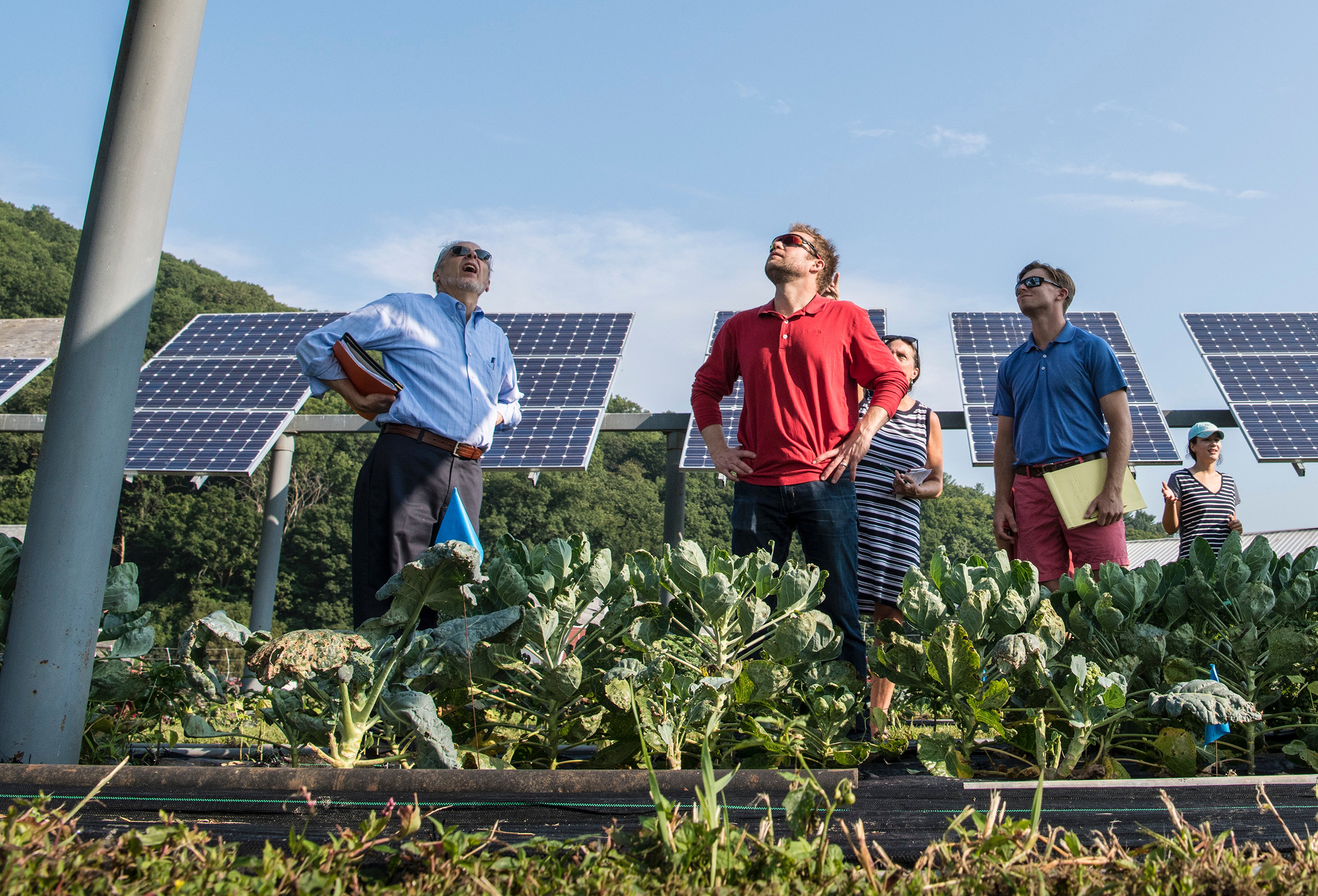 Solarmodule gegen den Hunger: Können mehr Menschen ernährt werden, wenn die Böden effizienter genutzt werden?