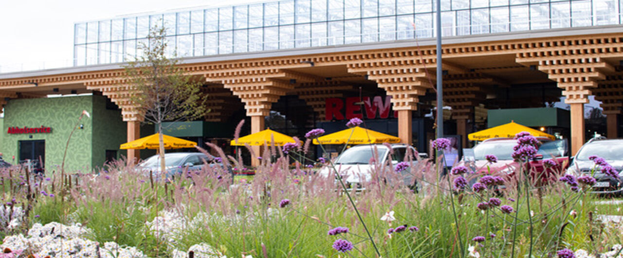 Blumenwiese vor dem neuen Rewe-Supermarkt in Wiesbanden-Erbenheim