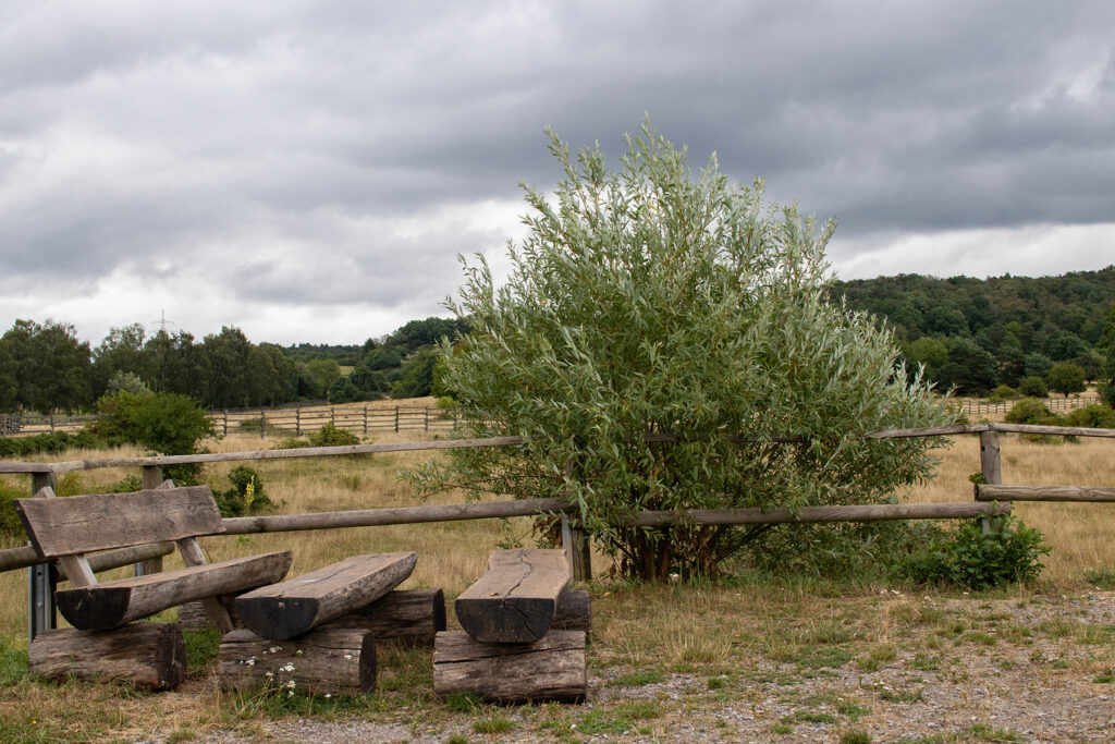 Im Naturschutzgebiet in Schweinheim kann man auch gut die Seele baumeln lassen - dafür stehen Holzbänke und ein Grillplatz bereit.
