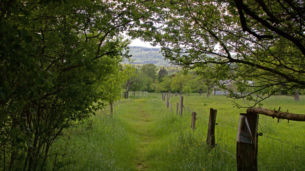 Blick auf den Taunus und das Kirdorfer Feld