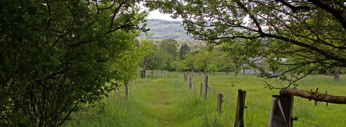 Blick auf den Taunus und das Kirdorfer Feld