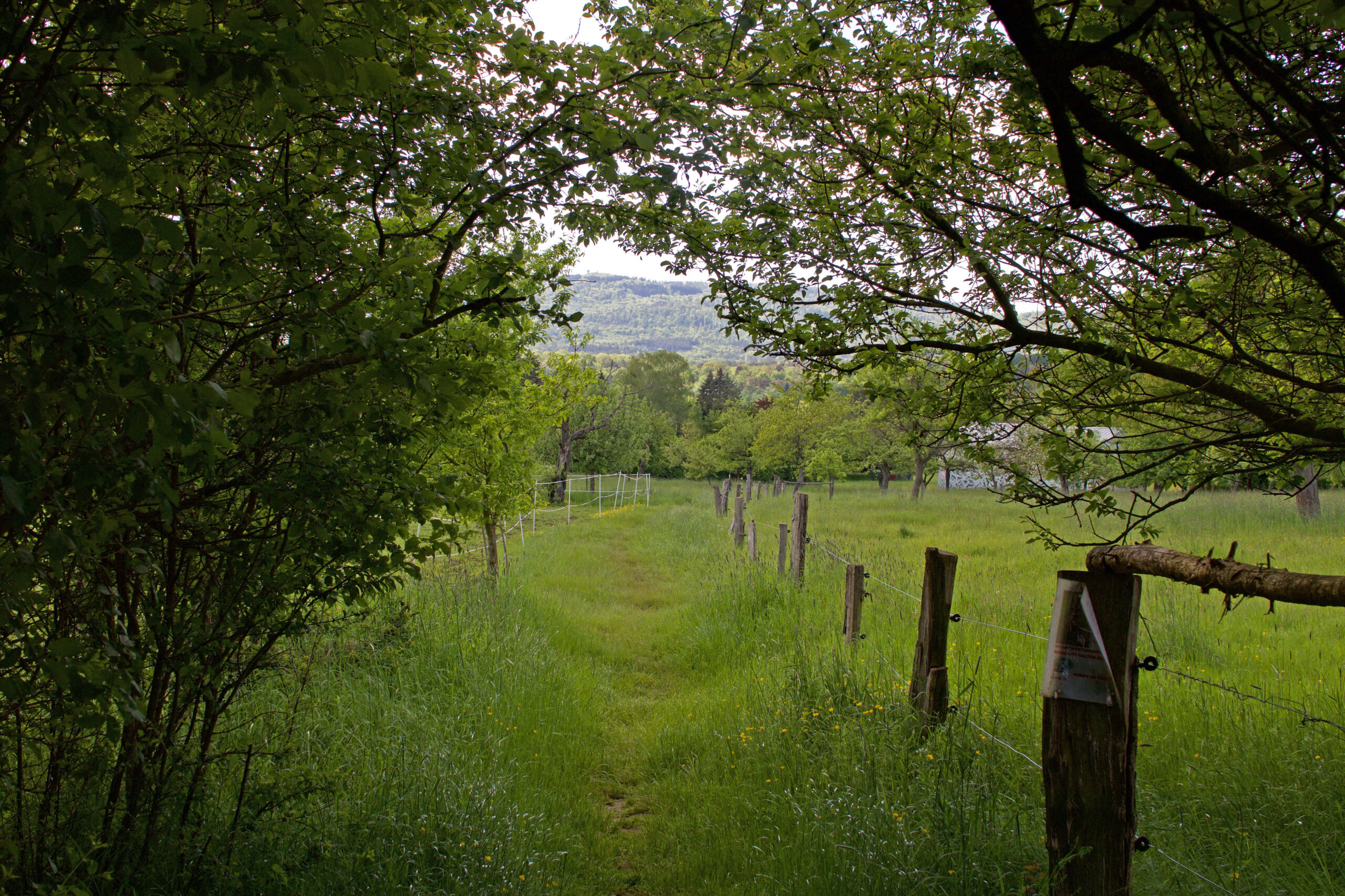 Blick auf den Taunus und das Kirdorfer Feld